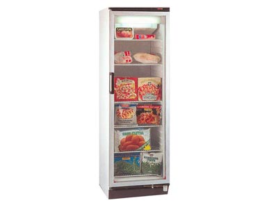 Холодильный шкаф Vestfrost NFG 309